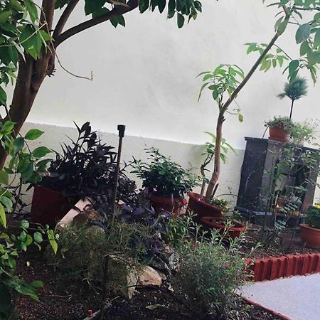 Modern Hospitality, With Private Garden, Athens Atenas Exterior foto